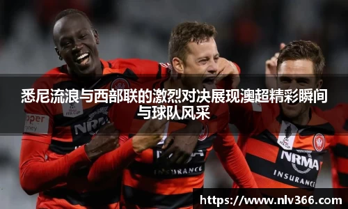 jjb竞技宝